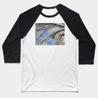 Brooklyn Blossoming Tree Baseball T-Shirt